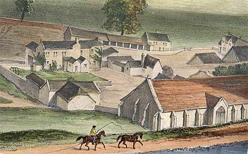 Ford barton farm #8