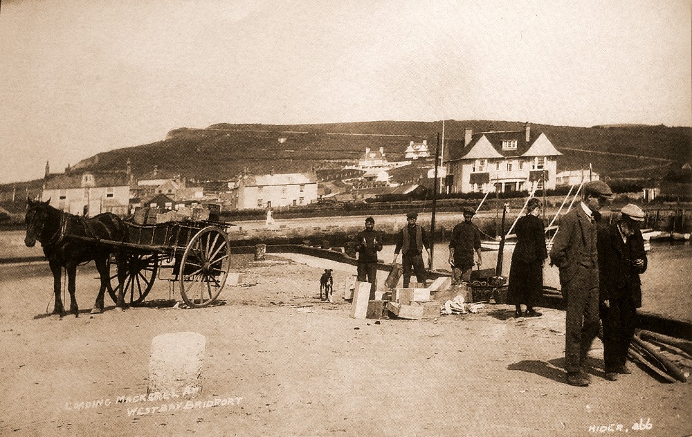 Charmouth Postcards Hider Claude