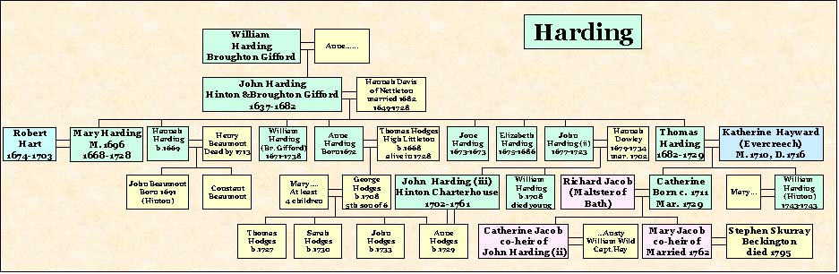 Ford family tree new zealand